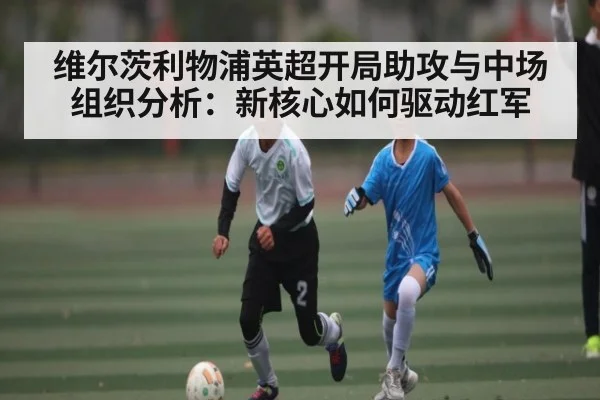 维尔茨利物浦英超开局助攻与中场组织分析:新核心如何驱动红军